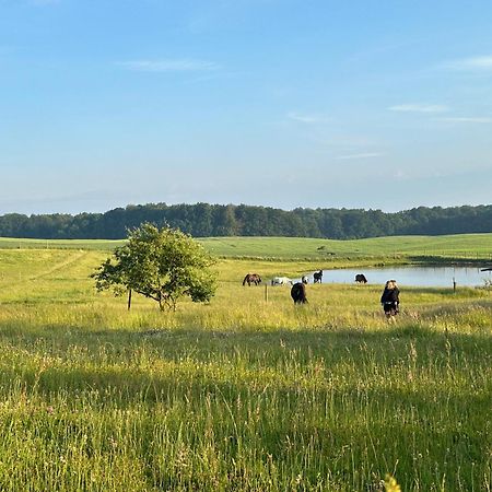 Projekt Stajnia - Nadmorski Osrodek Jazdy Konnej - Noclegi Łazy Buitenkant foto