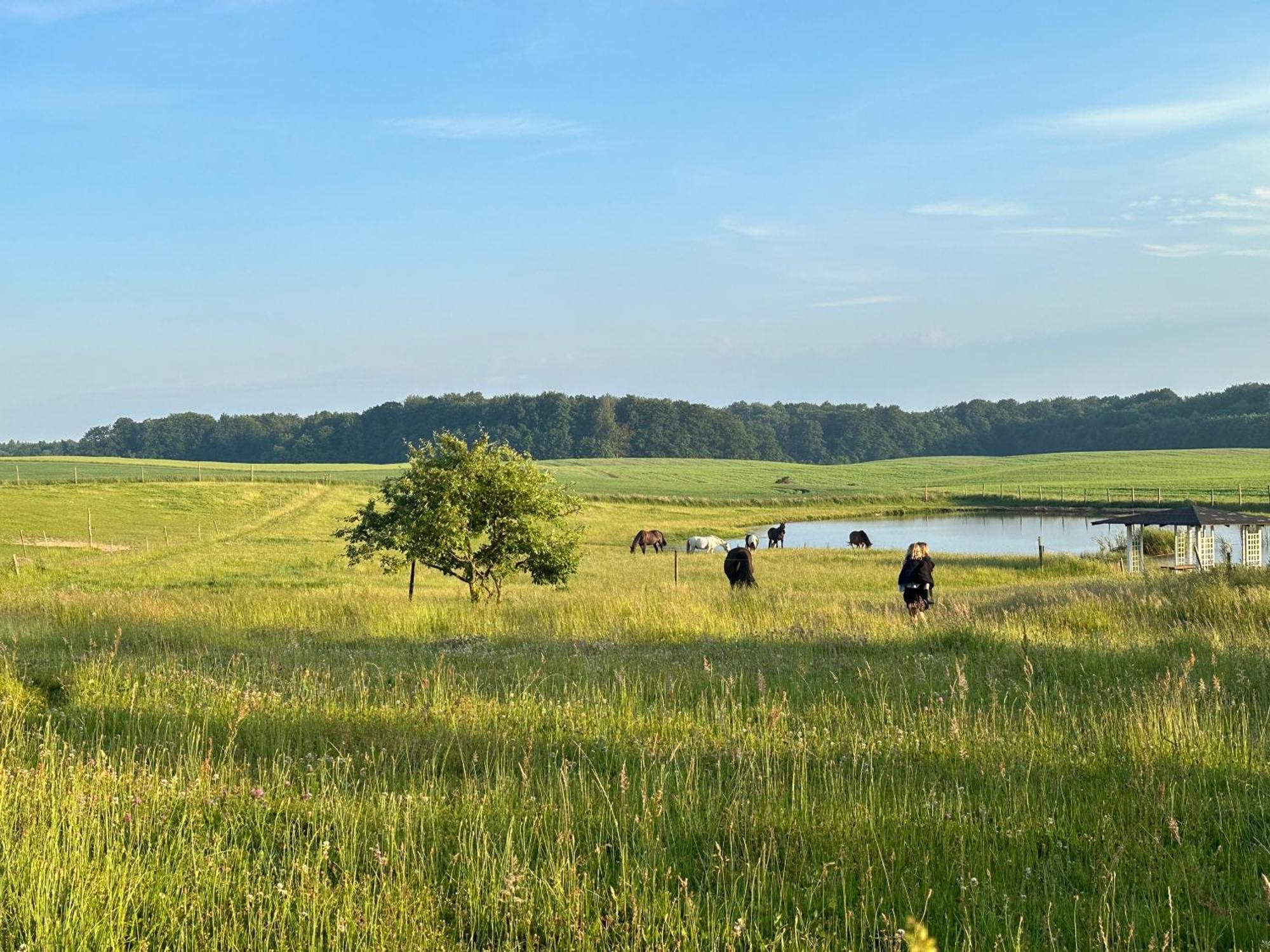 Projekt Stajnia - Nadmorski Osrodek Jazdy Konnej - Noclegi Łazy Buitenkant foto